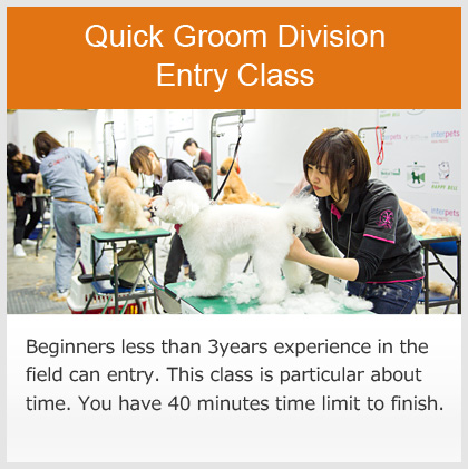 Quick Groom Division Entry Class