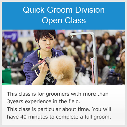 Quick Groom Division Open Class