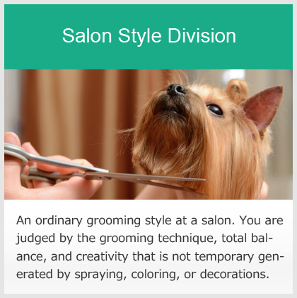 Salon Style Division