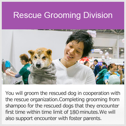 Rescue Grooming Division