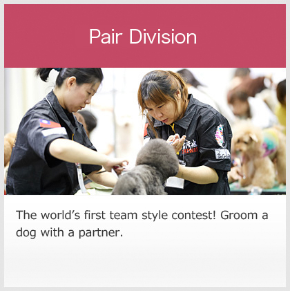 Pair Divison