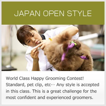 JAPAN OPEN STYLE