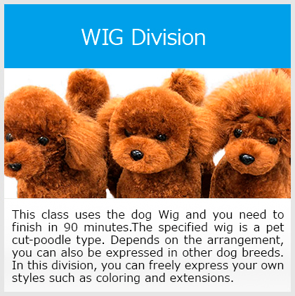 Wig Division