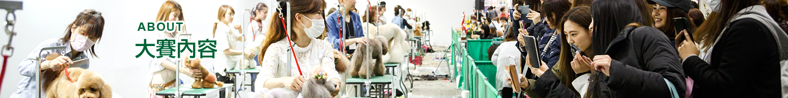 大賽內容