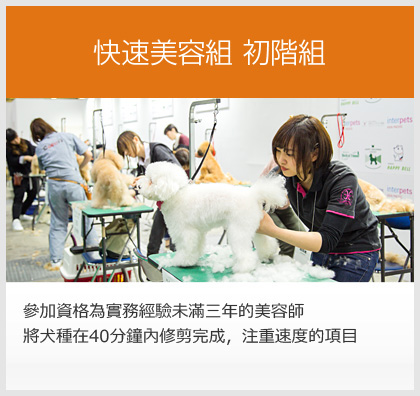 快速美容組 初階組