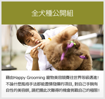 全犬種公開組
